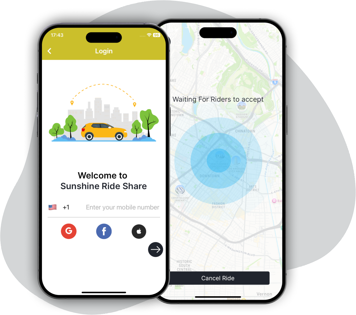 Customer application screens